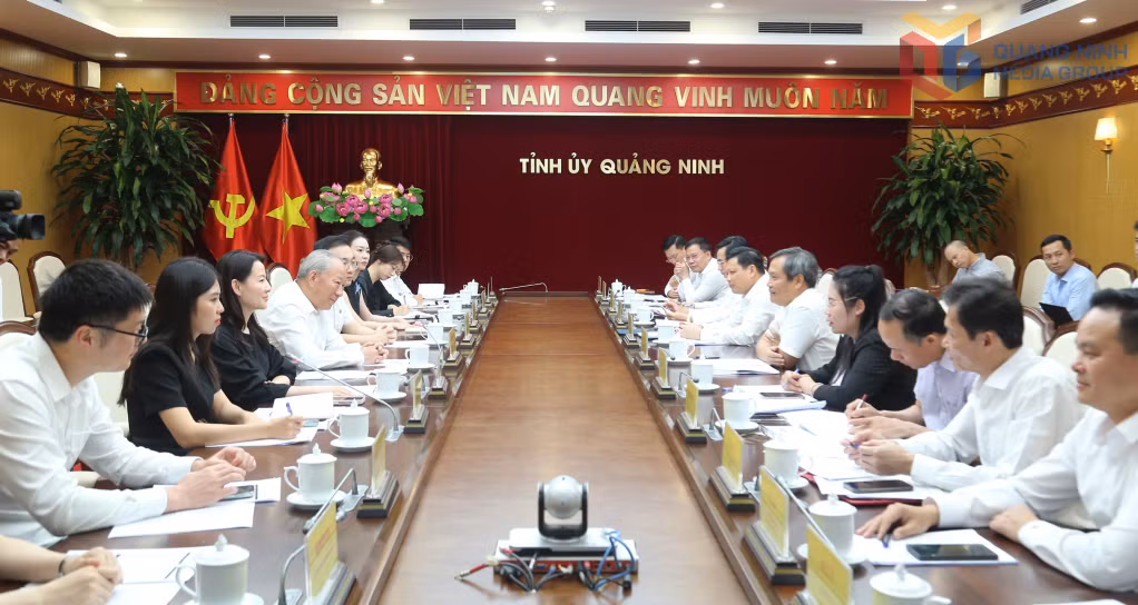Lãnh đạo tỉnh Quảng Ninh tiếp đoàn công tác của Tập đoàn xây dựng Thái Bình Dương (Trung Quốc) đề xuất triển khai dự án xây dựng hầm đường bộ qua vịnh Cửa Lục.
