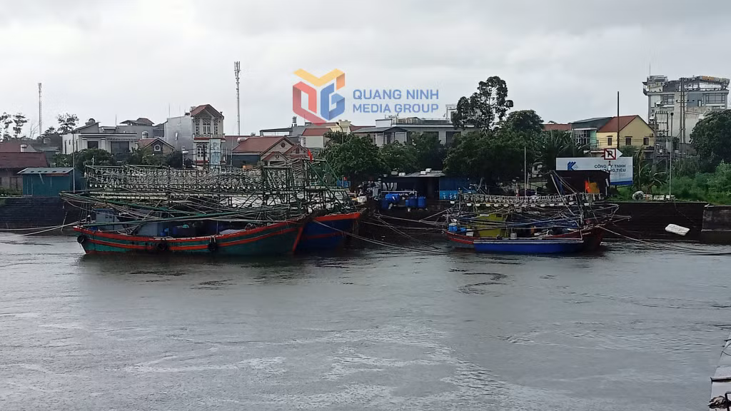 Tàu thuyền neo đậu tại khu vực neo đậu sông Hà Cối