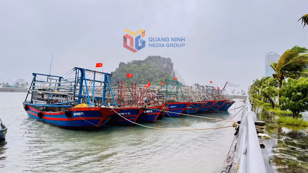 Các tàu khai thác thủy sản hiện vẫn được neo đậu, tránh trú tại Bến cảng cao cấp Ao Tiên.