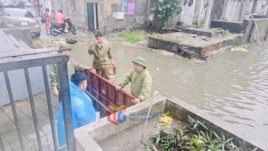 Lãnh đạo UBND phường Hồng Gai khảo sát để lên phương án khơi thông dòng chảy, mở các tuyến cống tại Dự án Chung cư Time Garden Hạ Long.