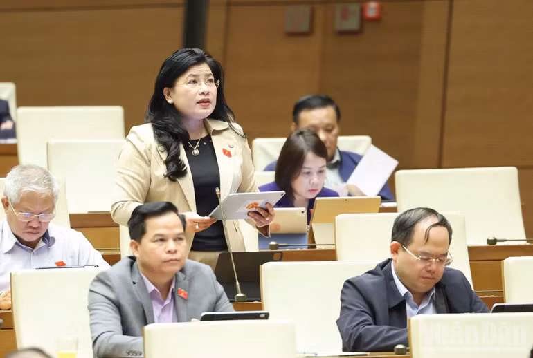 Đại biểu Đàng Thị Mỹ Hương. (Ảnh: DUY LINH)