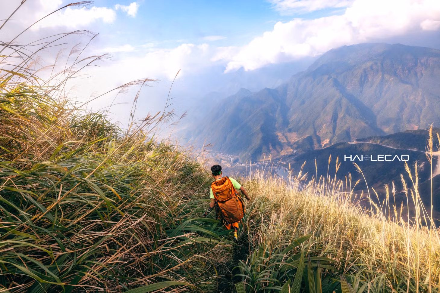 Triền núi phủ kín cỏ dại mọc đầy hai bên ven đường trekking và dáng hình hùng vĩ của núi non Tây Bắc qua góc máy của nhiếp ảnh gia nổi tiếng.
