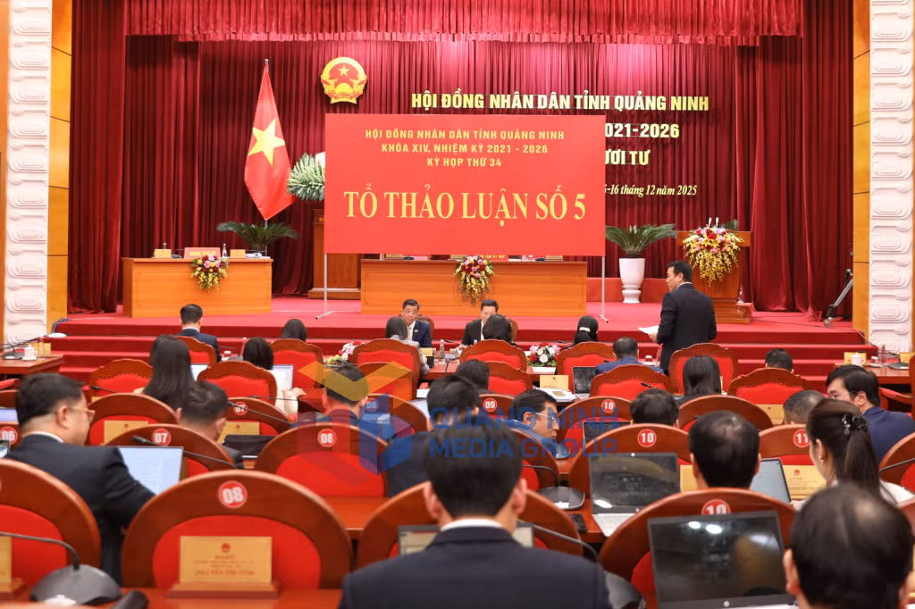 Quang cảnh thảo luận tại Tổ thảo luận số 5 (12-2025). Ảnh PV