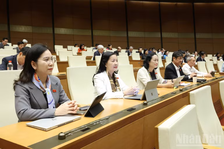 Các đại biểu dự phiên họp chiều 3/12. (Ảnh: DUY LINH)