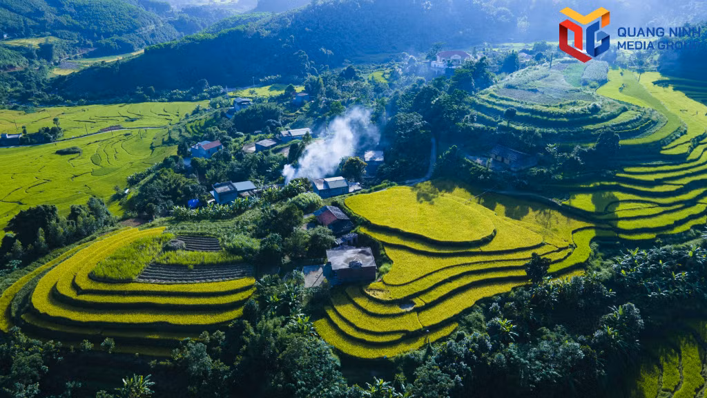 Những thửa ruộng xanh tươi của Đông Ngũ vào mùa mới.