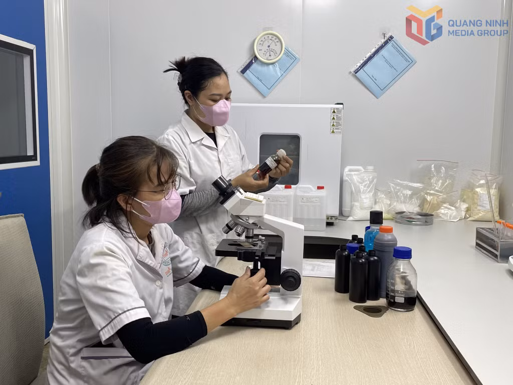 Nghiên cứu khoa học tại Công ty TNHH Nuôi trồng, sản xuất và chế biến dược liệu Đông Bắc.