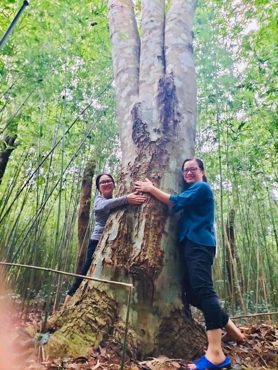 Cán bộ Ban quản lý rừng phòng hộ, đặc dụng miền Tây kiểm tra rừng.