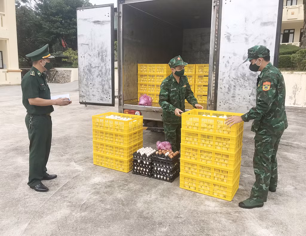 Đồn Biên Phòng Quảng Đức bắt giữ 9.600 quả trứng vịt lộn không rõ nguồn gốc xuất xứ.