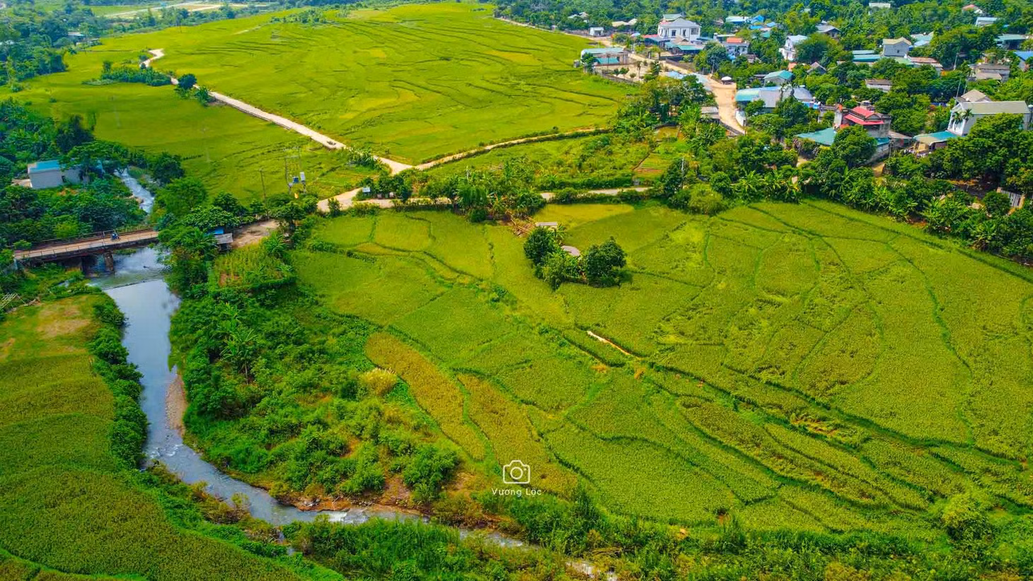 Vào những ngày Thu, hai địa phương này “khoác lên mình” sắc vàng của những thửa ruộng, hòa cùng màu xanh cây lá, tạo nên không gian mát lành. Ảnh: Vương Lộc