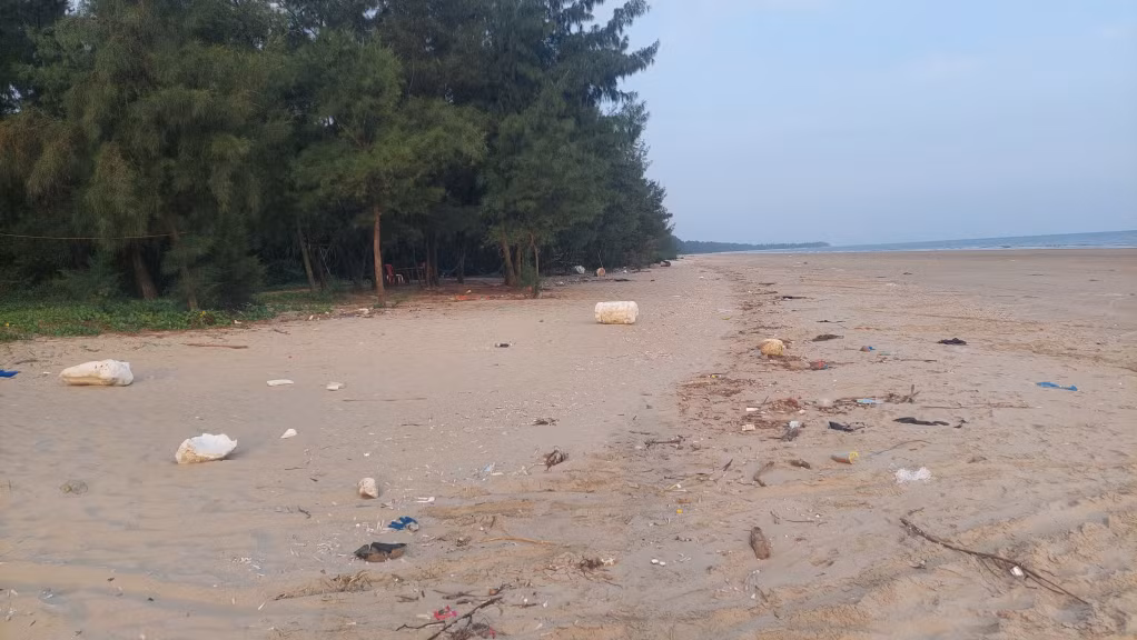 Ngoài 2 km bãi biển thuộc khu vực Trung tâm khu du lịch Trà Cổ thường xuyên được thu gom rác thì còn hơn 10 km bãi biển Trà Cổ không được thu gom rác thường xuyên