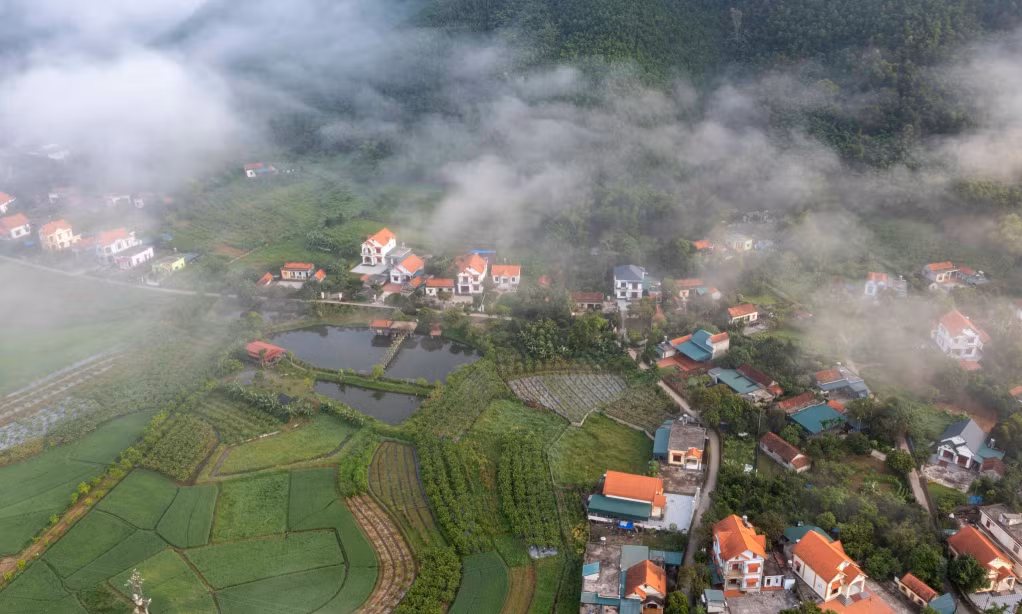 Sương sớm trên núi rừng Ba Chẽ. Ảnh: Dương Phượng Đại. 