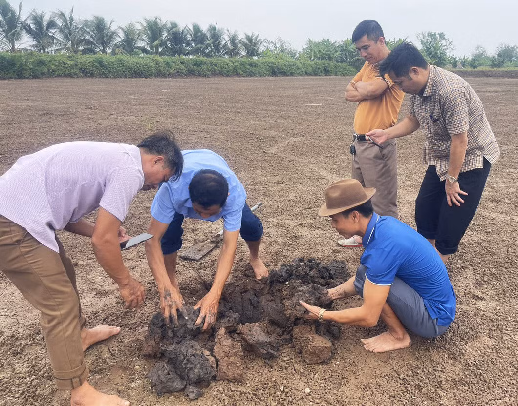 Người nuôi rươi ở huyện Vĩnh Bảo, TP Hải Phòng kiểm tra quá trình phát triển của rươi trước vụ thu hoạch năm 2023 - Ảnh: TIẾN THẮNG