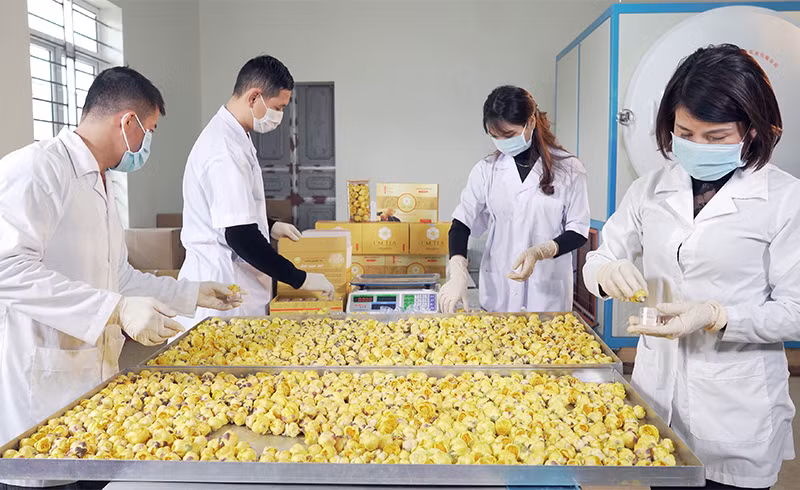 Các cơ sở tiểu thủ công nghiệp cũng đang được huyện Hải Hà quan tâm phát triển