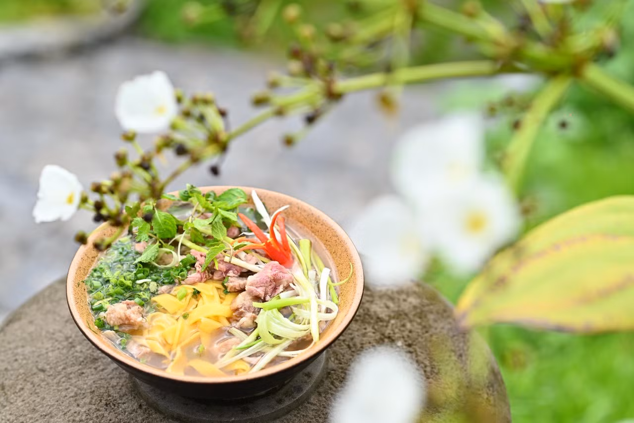 Phở ngô có màu vàng óng bắt mắt. Ảnh: NVCC