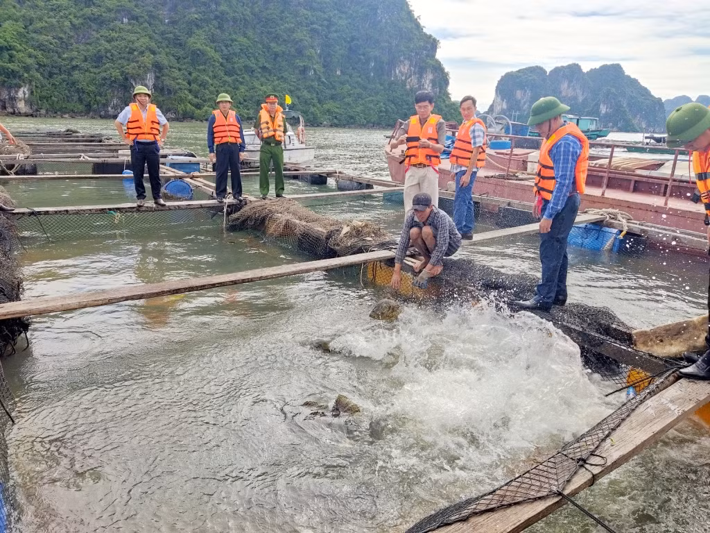 Việc chuyển đổi phao xốp sang phao nhựa HDPE trong nuôi trồng thuỷ sản đã cơ bản hoàn thành.