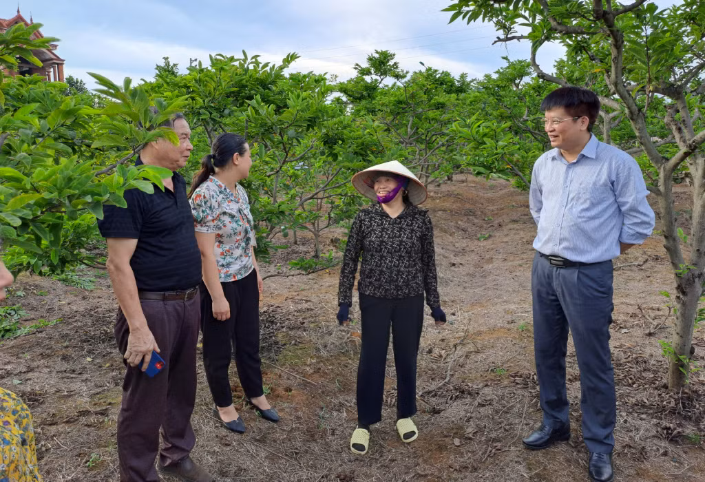 Lãnh đạo Hội Nông dân tỉnh thăm hỏi tình hình sản xuất na VietGAP của hội viên nông dân TX Đông Triều. Ảnh: Nguyên Ngọc
