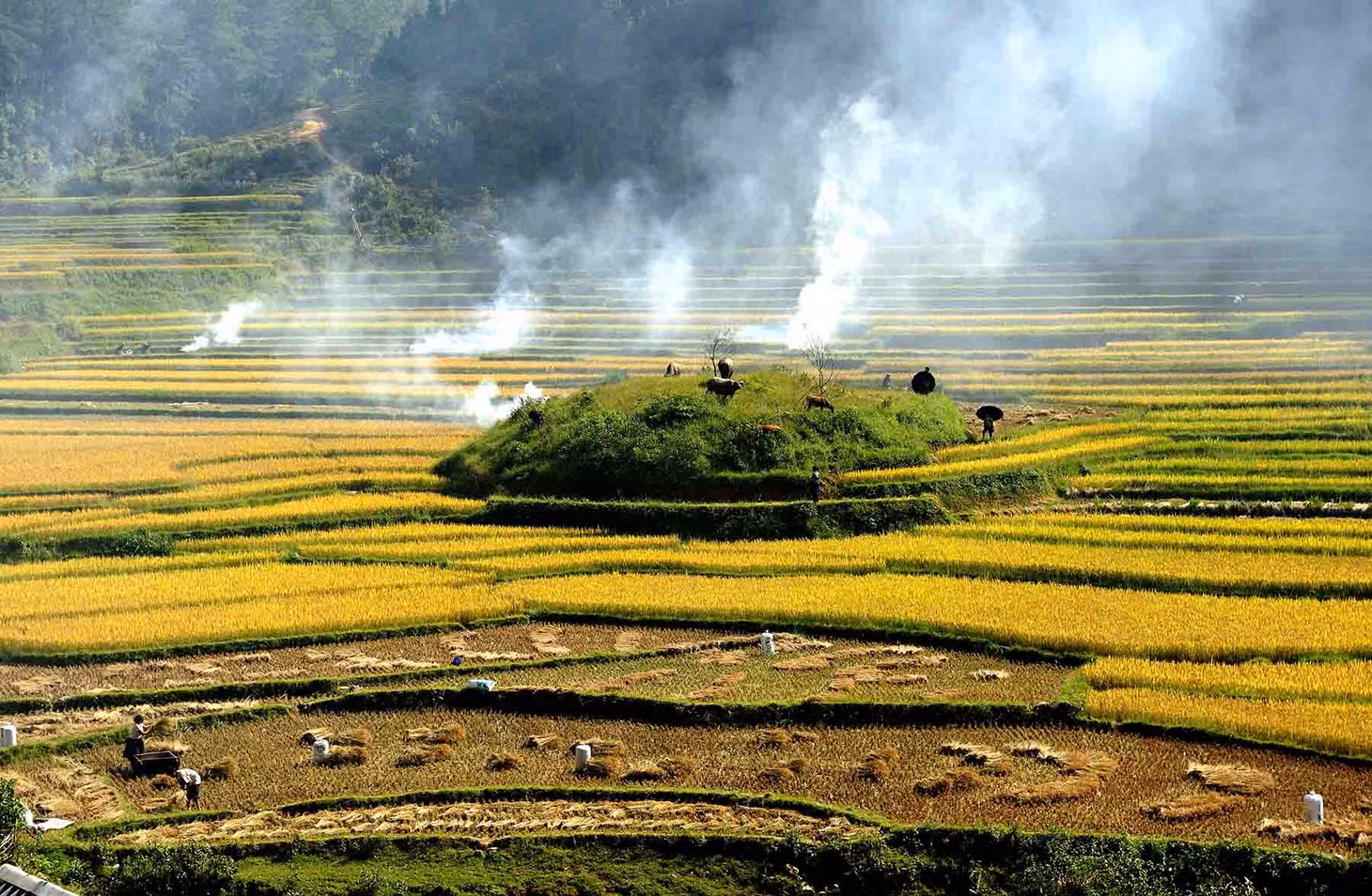 Sau khi thu hoạch, nông dân địa phương thường đốt rơm rạ. Ảnh: Ngô Vĩnh Phú