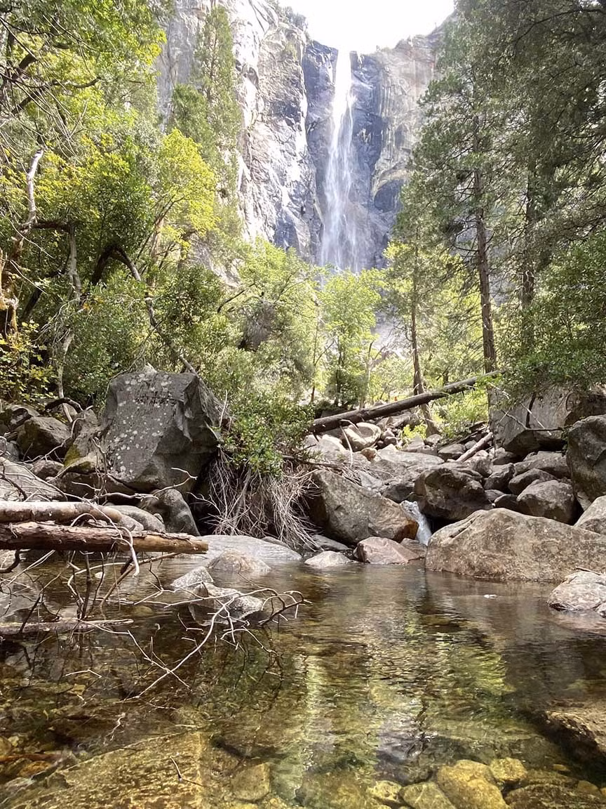 Một góc xanh mát tại Công viên quốc gia Yosemite. Ảnh: Cao Việt Cường Cavicu