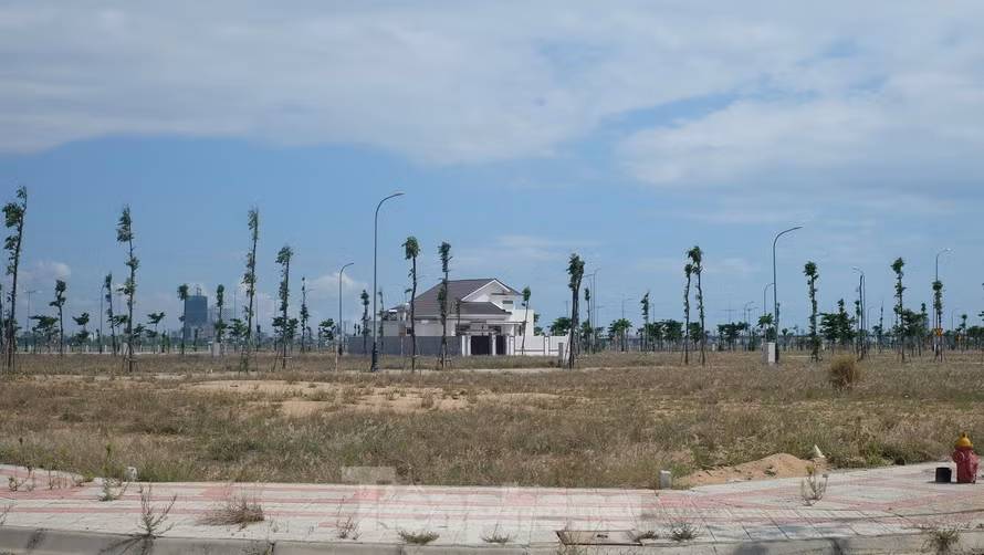 Khu đất 262 lô tại khu đô thị Nam Tuy Hoà được tỉnh Phú Yên giảm giá bán. Ảnh L.H