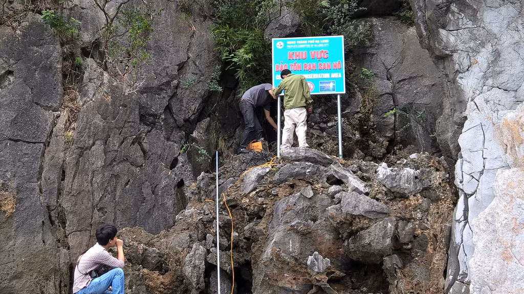 Các khu vực có những rạn san hô có độ phủ cao được Ban Quản lý Vịnh Hạ Long khoanh vùng, bảo vệ nghiêm ngặt.