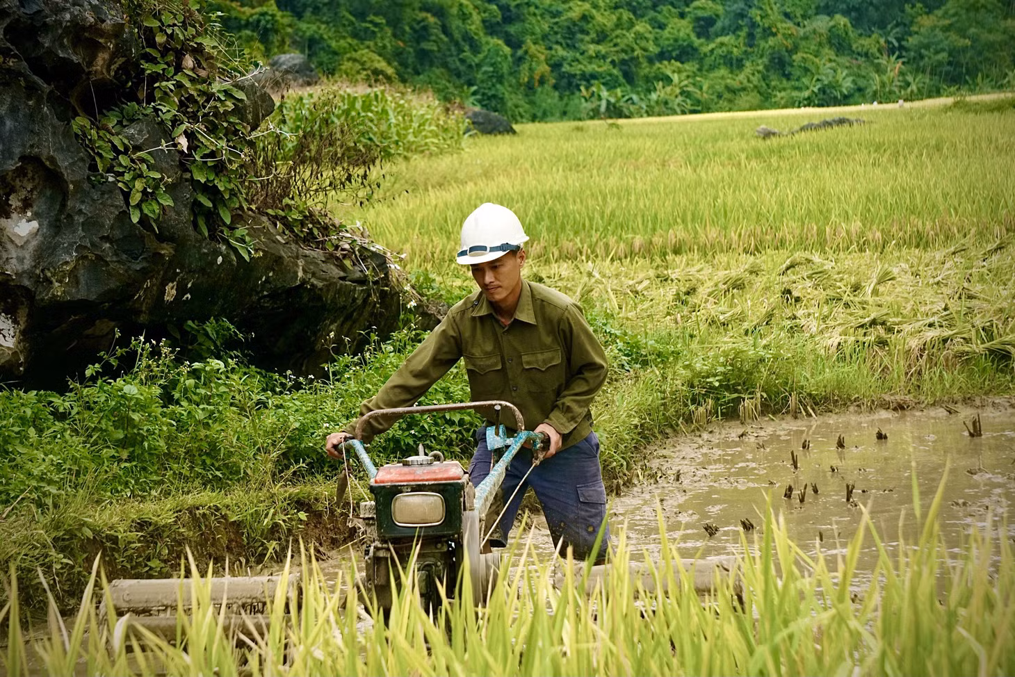Sau mỗi vụ thu hoạch, bà con tranh thủ làm đất để chuẩn bị cho vụ mới. Những năm trở lại đây, máy cày được sử dụng để thay thế cho trâu bò trên những cung ruộng bậc thang.