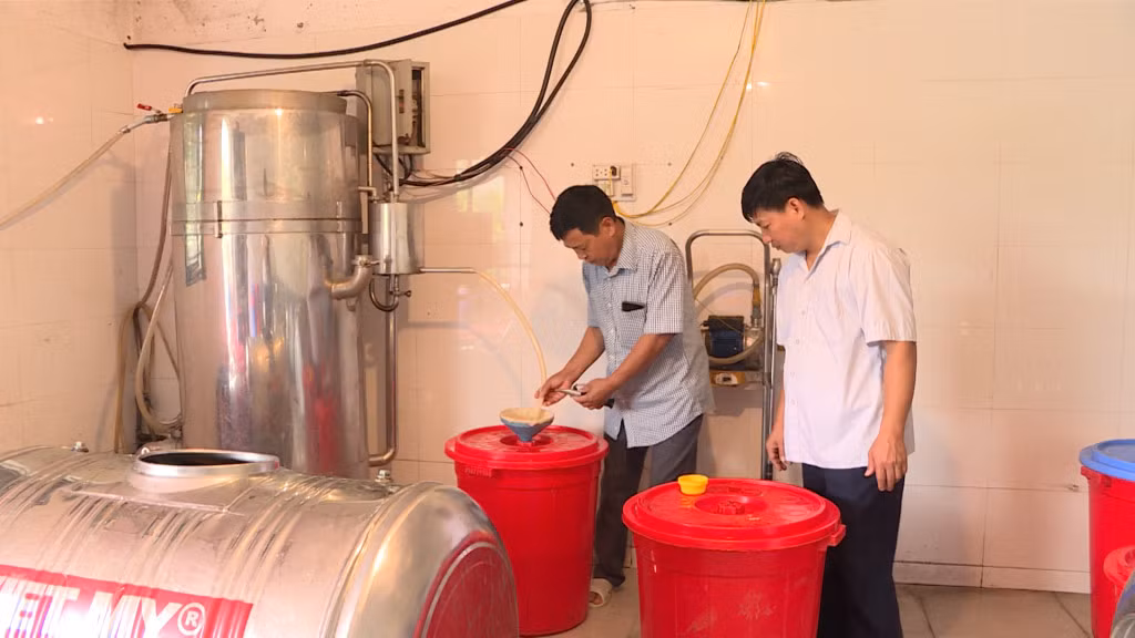 Sản xuất rượu khoai tại hợp tác xã Quế Lâm.