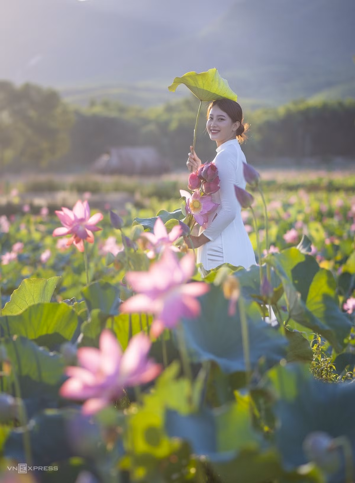 Bạn Hạnh Nguyên, cũng đến từ Đà Nẵng, diện trang phục áo dài trắng tạo dáng với hoa sen để chụp ảnh kỷ niệm ở Trà Lý - Đồng Lớn.