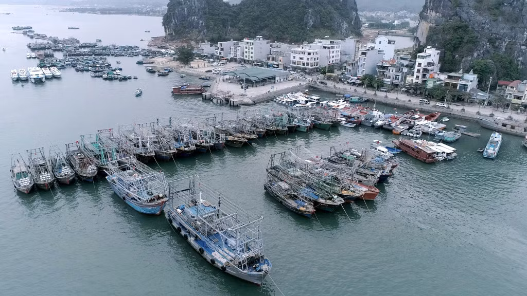 Để đảm bảo an toàn cho tàu thuyền và khách du lịch, Ban Chỉ huy PCTT&amp;TKCN đề nghị Sở GT-VT, Cảng vụ đường thuỷ nội địa, UBND các địa phương tạm ngừng cấp phép cho các phương tiện thuỷ ra khơi.
