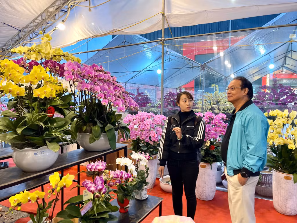 Hoa Tết không thể thiếu trong mỗi nhà khi đón Tết cổ truyền của dân tộc.