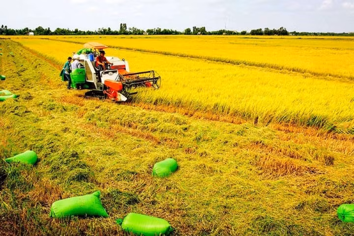 Năm 2025, ngành nông nghiệp phấn đấu tăng trưởng 3,3 - 3,4%. (Ảnh minh họa)