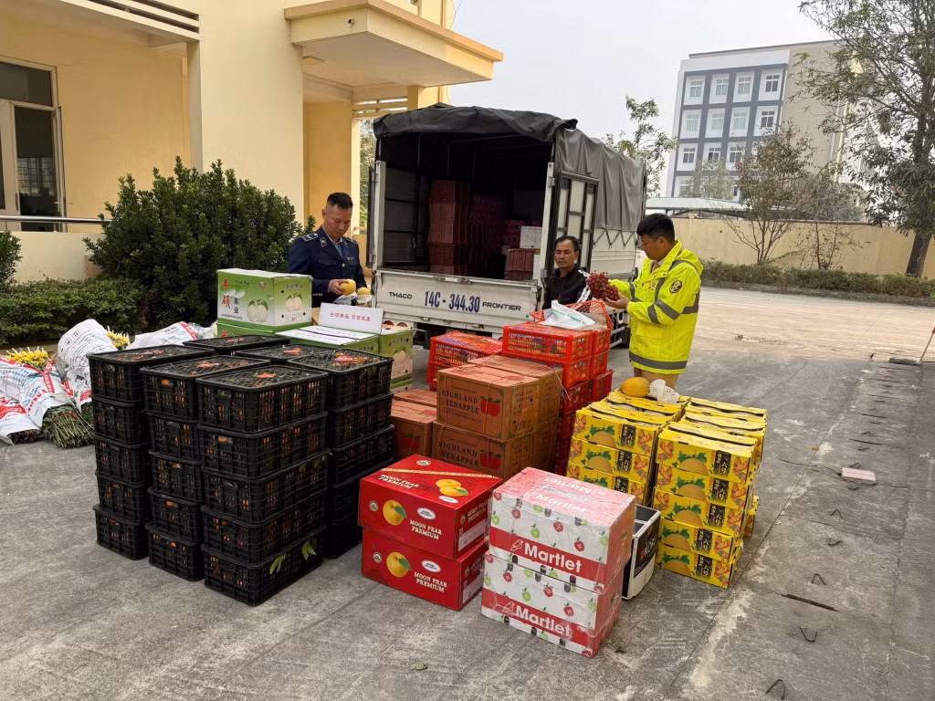 105 thùng hoa quả có nguồn gốc từ Trung Quốc được lực lượng chức năng phát hiện.