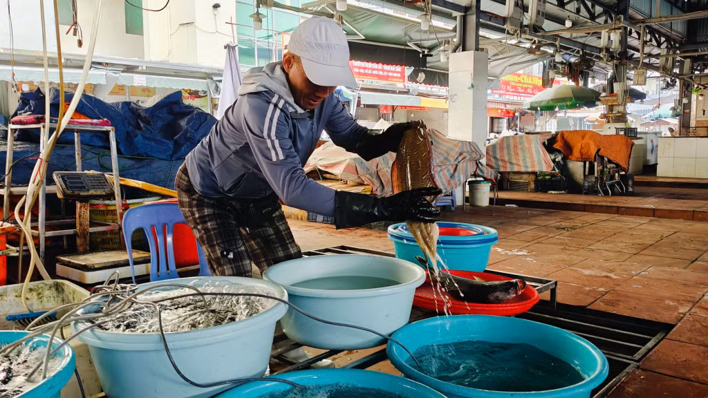 Anh Nguyễn Việt Cường, chủ cửa hàng Cường Cá tại chợ Hạ Long I chia sẻ: Mùng 2 Tết tôi mở hàng như thường lệ mọi năm, vừa để lấy ngày đẹp, mong một năm mới thuận lợi, buôn may bán đắt; vừa phục vụ nhu cầu người dân. Giá cả thì vẫn cơ bản ổn định, không tăng so với thời điểm trước Tết.