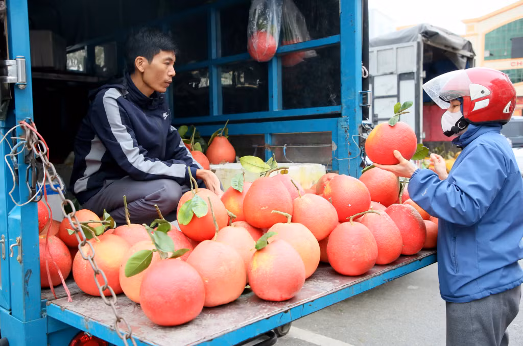 Những trái bưởi đỏ với màu sắc đẹp, bắt mắt và mang nhiều ý nghĩa cũng được người dân lựa chọn.