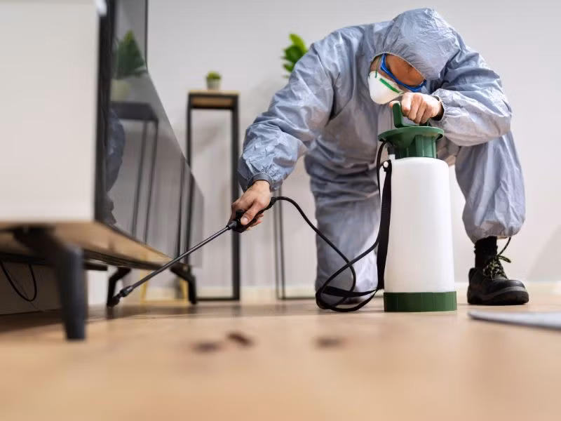Dịch vụ kiểm soát côn trùng tại Hà Nội - Giải pháp tối ưu từ kiểm dịch ảnh 1 Dịch vụ kiểm soát côn trùng tại Hà Nội - Giải pháp tối ưu từ kiểm dịch ảnh 1