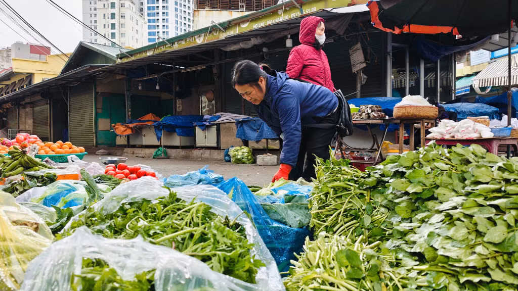 Theo các tiểu thương bán rau xanh tại Chợ Hạ Long I, các loại rau củ quả cơ bản vẫn giữ giá như ngày thường. Rau cải xoong có giá 20 nghìn đồng/mớ to; bắp cải khoảng 15 nghìn đồng/bắp to; súp lơ khoảng 15 nghìn đồng/cái; su hào 10 nghìn đồng/kg...
