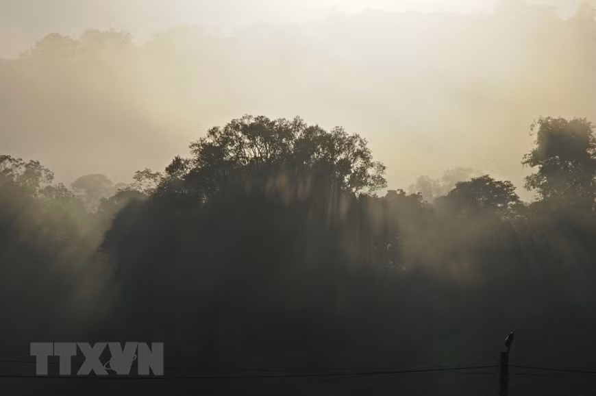 Khám phá Khu dự trữ sinh quyển Cao nguyên Kon Hà Nừng ảnh 9
