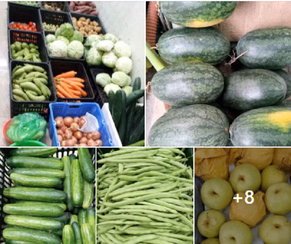 Bỏ lương 15 triệu ra làm riêng, suốt năm trời không ai tin tôi thành công