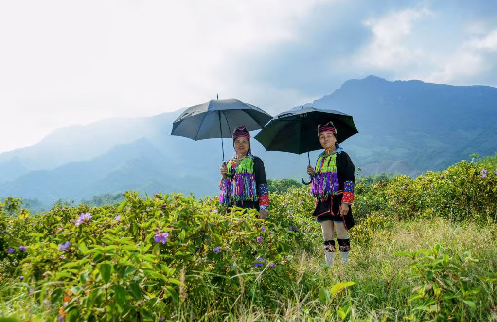 Phụ nữ Dao Thanh Y ở Quảng Đức (Hải Hà). Ảnh: Duy Thái