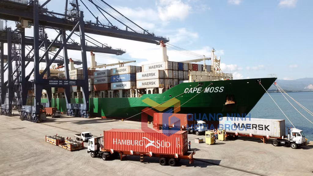 Bốc xếp hàng trên tàu Cape Moss xuống (9-2021). Ảnh: Thành Công