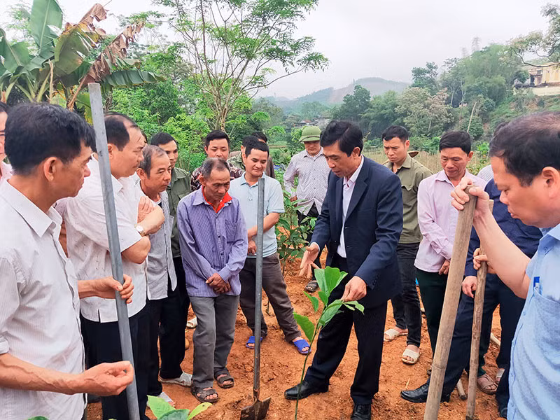 Cán bộ Hội Nông dân tỉnh hướng dẫn người dân xã Đồn Đạc trồng cây giổi xanh, tháng 3/2021.