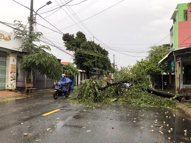 Khu vuc dong bang va ven bien Bac Bo, Thanh Hoa, Nghe An co mua to hinh anh 1