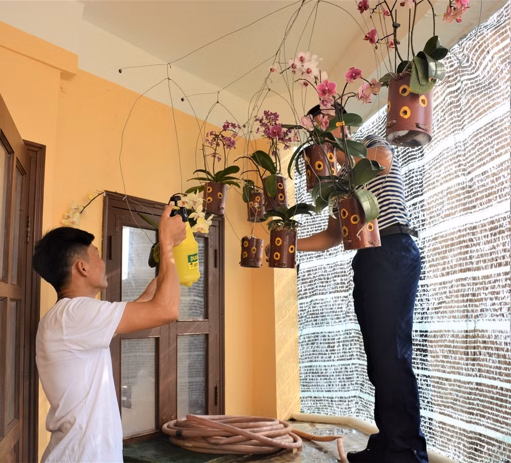 Giữa đảo nắng gió quanh năm, bộ đội vẫn trồng và chăm sóc lan nở hoa rực rỡ.