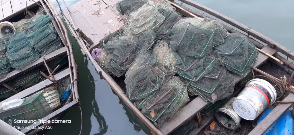 Lưới lồng sử dụng cho khai thác thuỷ sản trái phép, bị thu giữ qua các đợt thanh, kiểm tra của Chi cục Thuỷ sản (Sở NN&amp;PTNT).