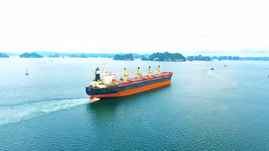 Vươn ra biển lớn