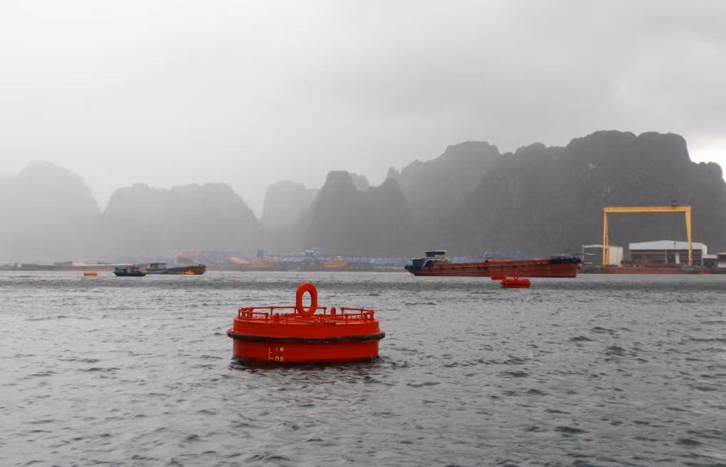 Hệ thống phao neo cho tàu thuyền tại Khu neo đậu tránh, trú bão tại phường Cẩm Thủy, TP Cẩm Phả. Ảnh: Mạnh Trường