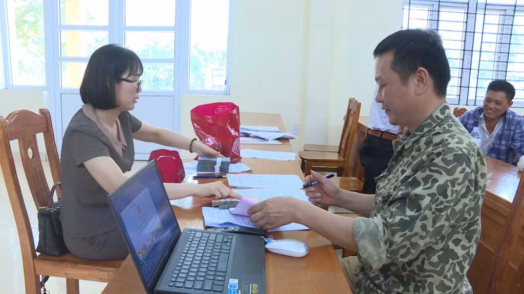 Nông dân Hải Hà được tiếp cận nguồn vốn vay ưu đãi từ Quỹ hỗ trợ nông dân để phát triển mô hình trồng chè.