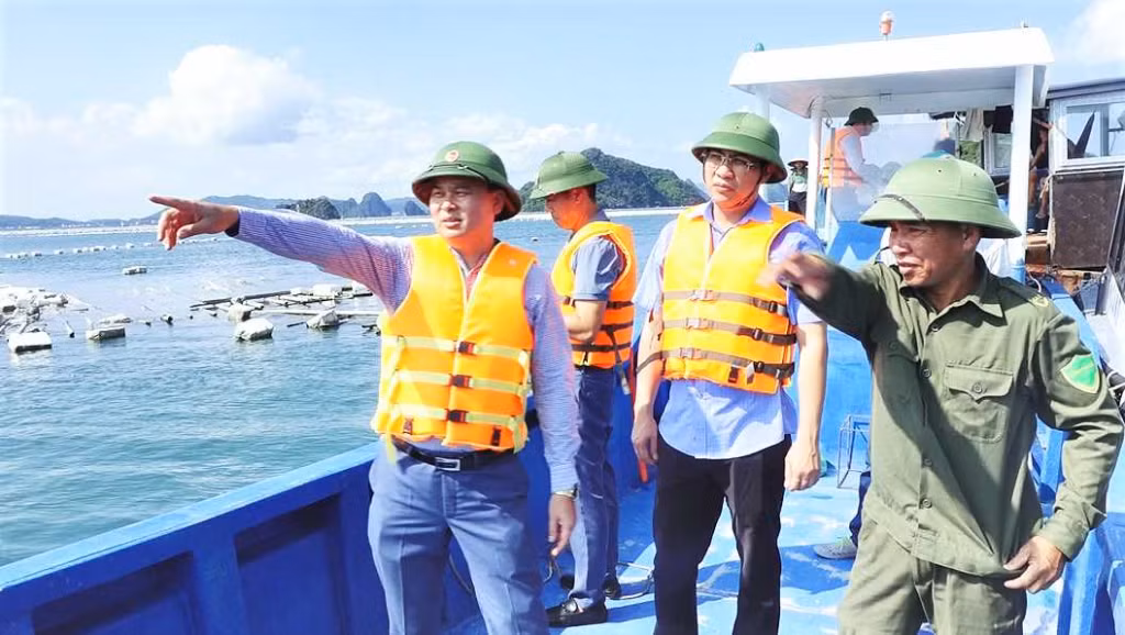 Đồng chí Trương Mạnh Hùng, Bí thư Huyện uỷ, Phó Trưởng Ban quản lý KKT Vân Đồn trực tiếp kiểm tra và chỉ đạo việc ra quân xử lý phao xốp tại vùng biển xã Đông Xá.