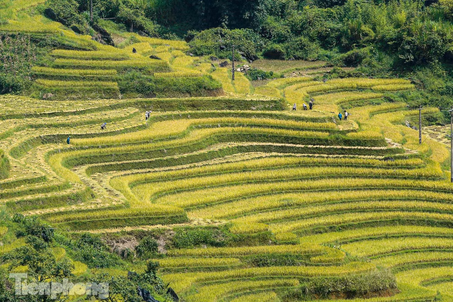 Y Tý là một xã miền núi thuộc huyện Bát Xát, tỉnh Lào Cai nằm trên vùng núi đá có độ cao khoảng 2.000 m so với mặt nước biển.