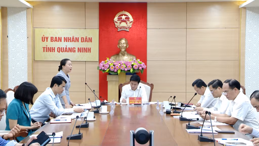 Đồng chí Vi Ngọc Bích, Phó Chủ tịch Thường trực HĐND tỉnh phát biểu tại cuộc họp.