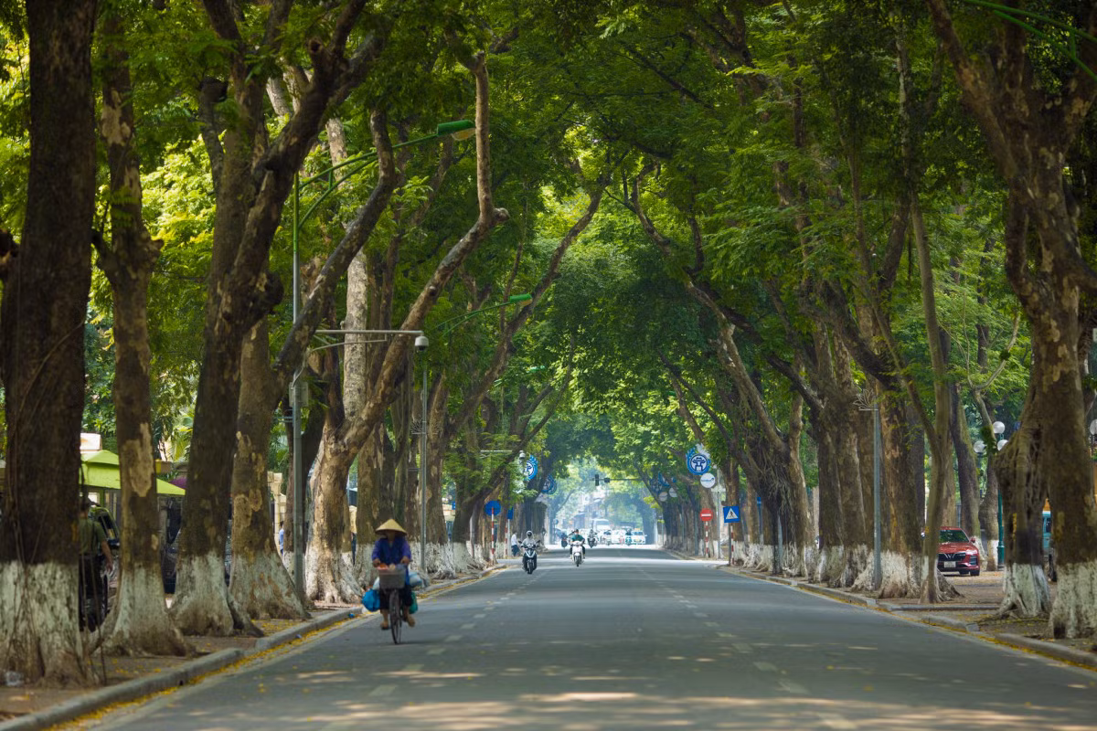 Mùa thu Hà Nội ảnh 1